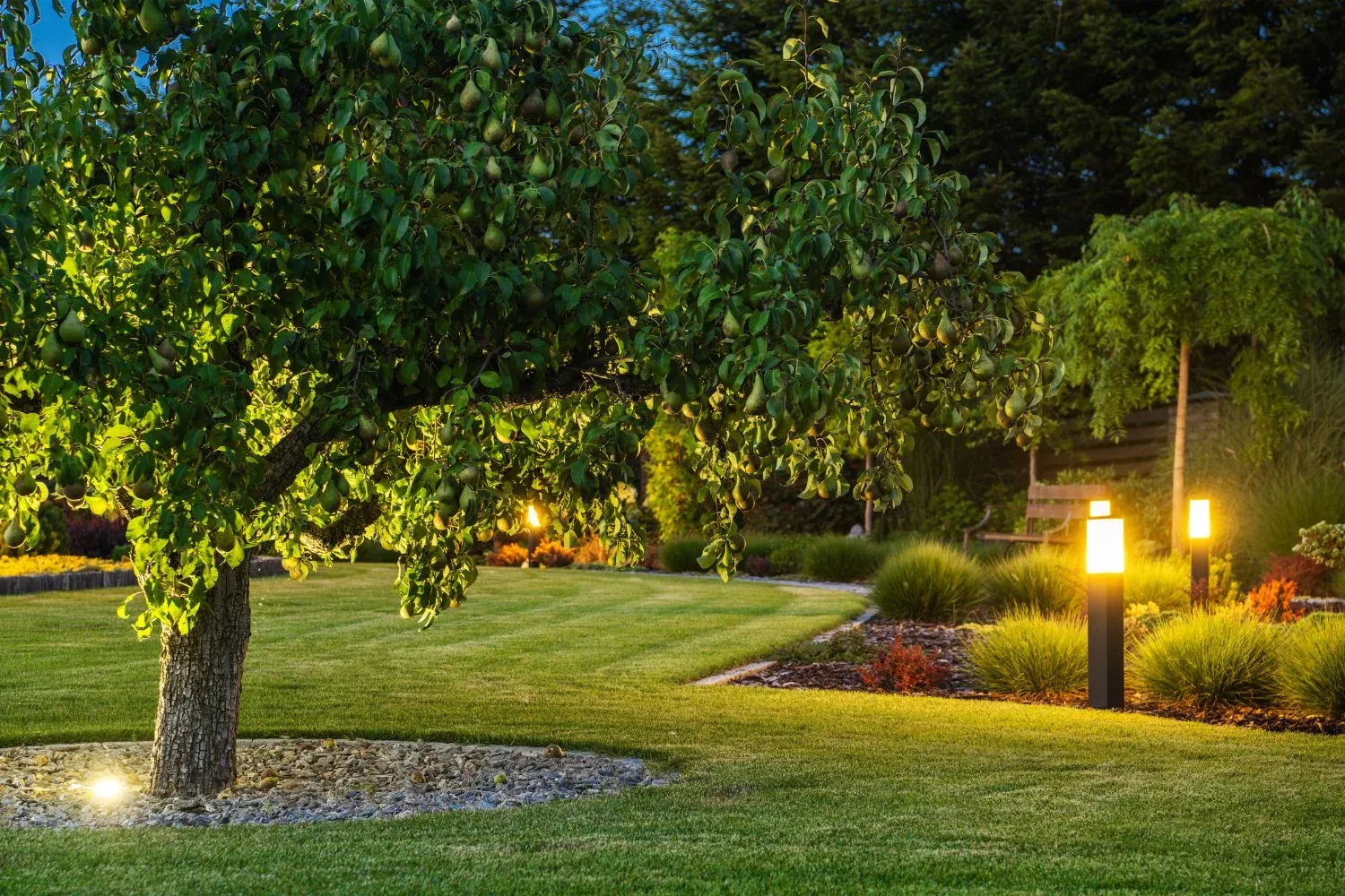Feature lighting along a landscaped garden path at dusk