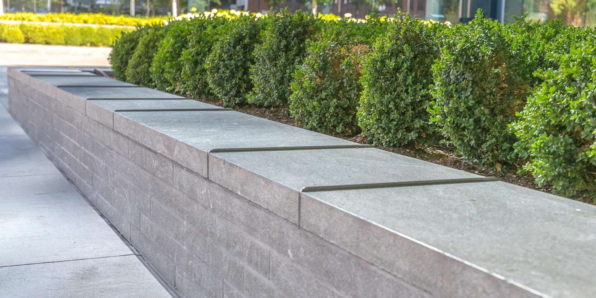 Concrete retaining wall bench with hedge planting on a Gold Coast property